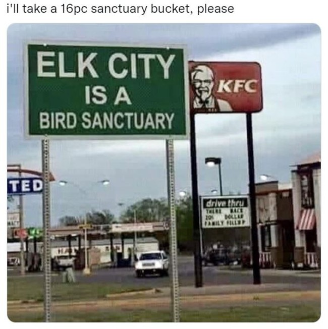 1736193392648.png