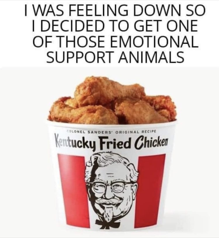 1736195209150.png