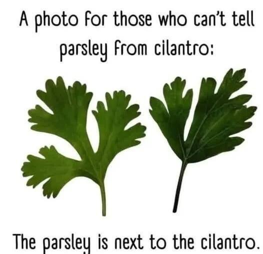 1736890344764.png
