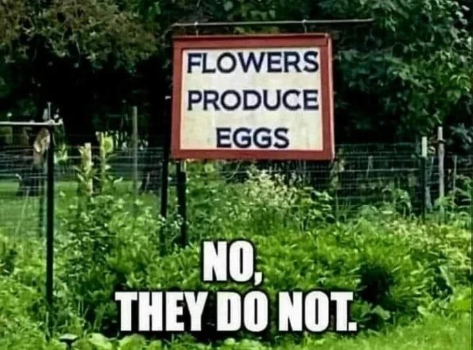 1748265064999.png