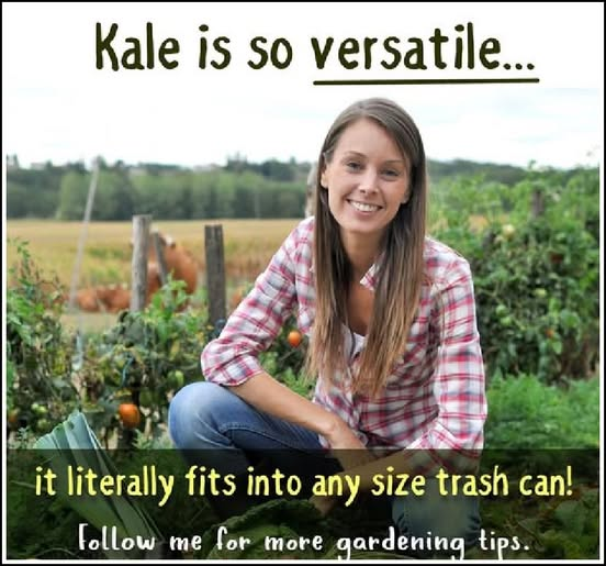 1750038188395.png