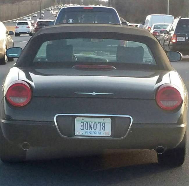 1750378780385.jpeg