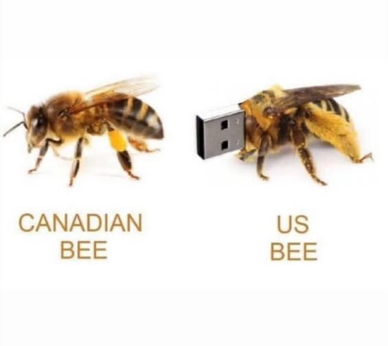 1755173736676.png