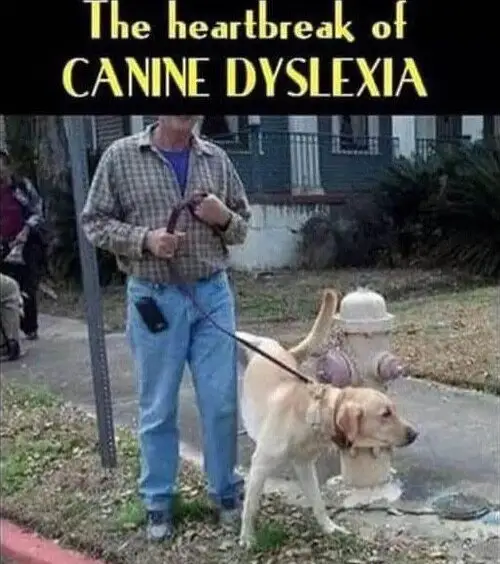 1756570239735.png