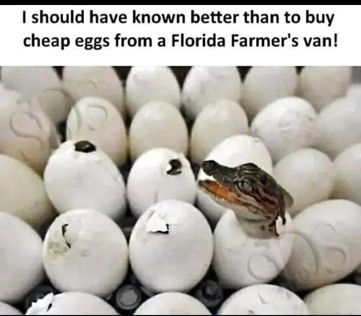 1756570275084.png