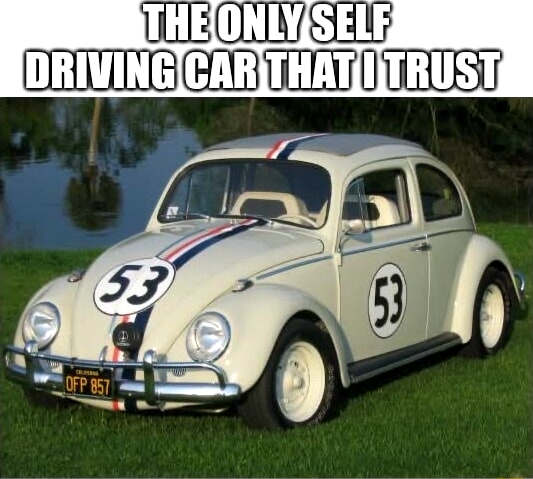 1757810885585.jpeg