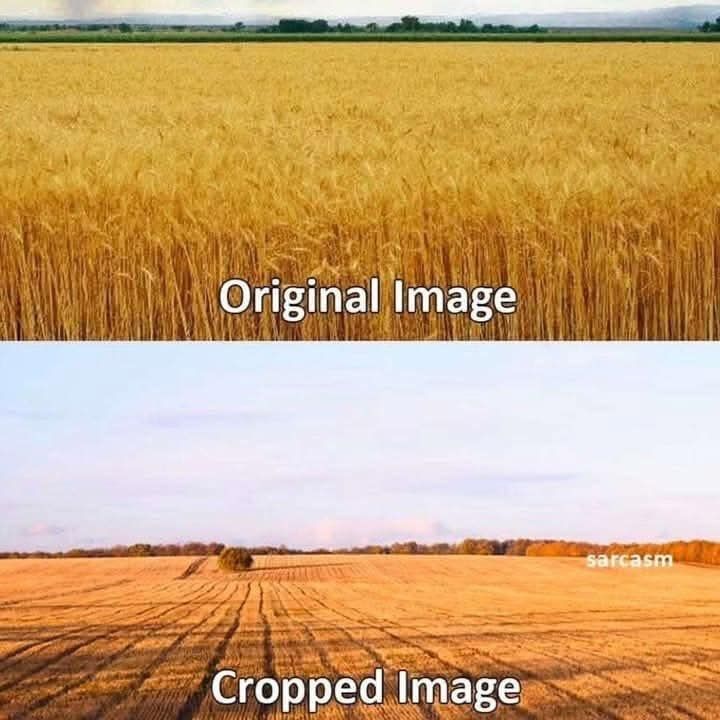 1758848348685.jpeg
