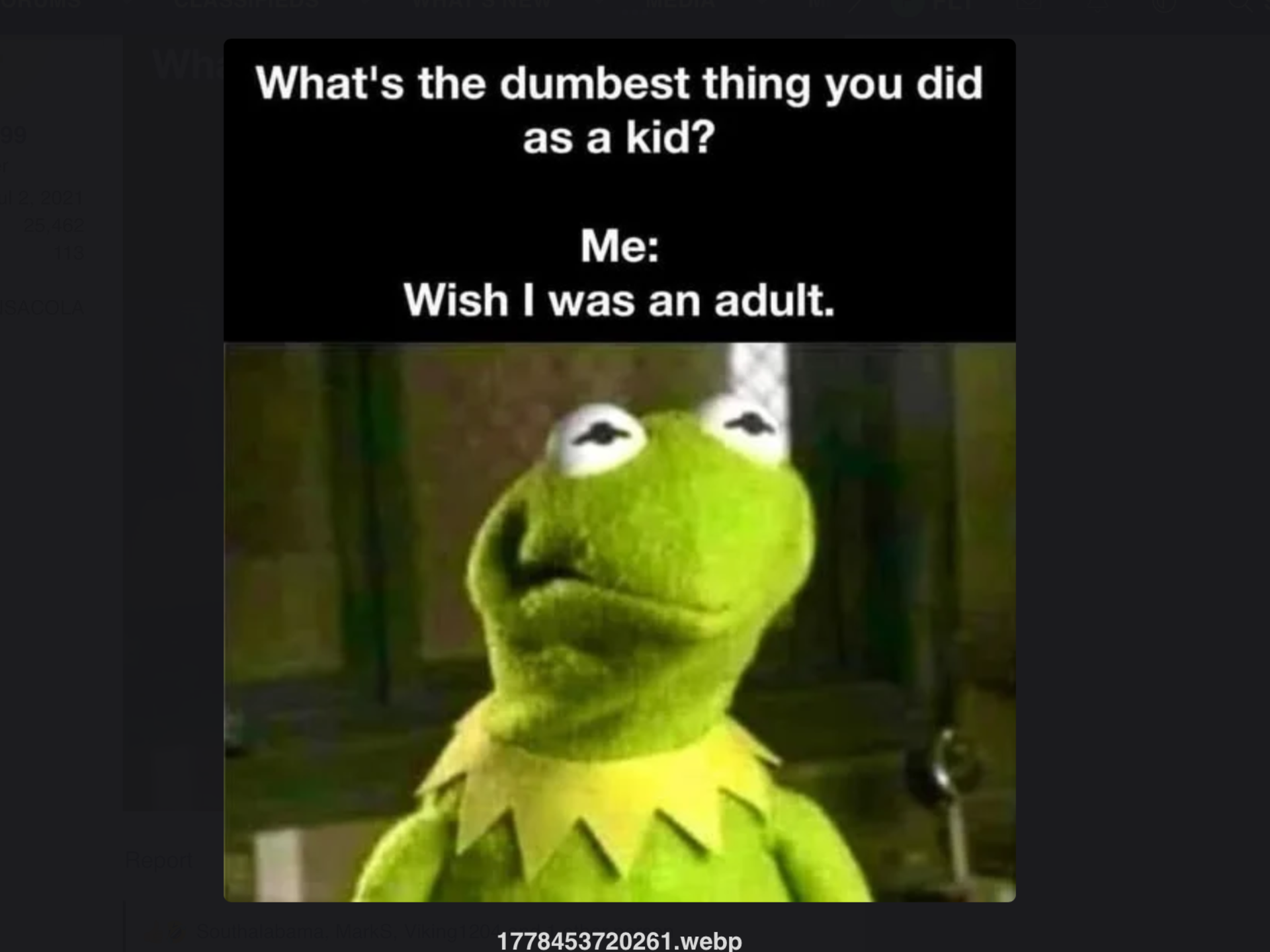 1778862795215.png