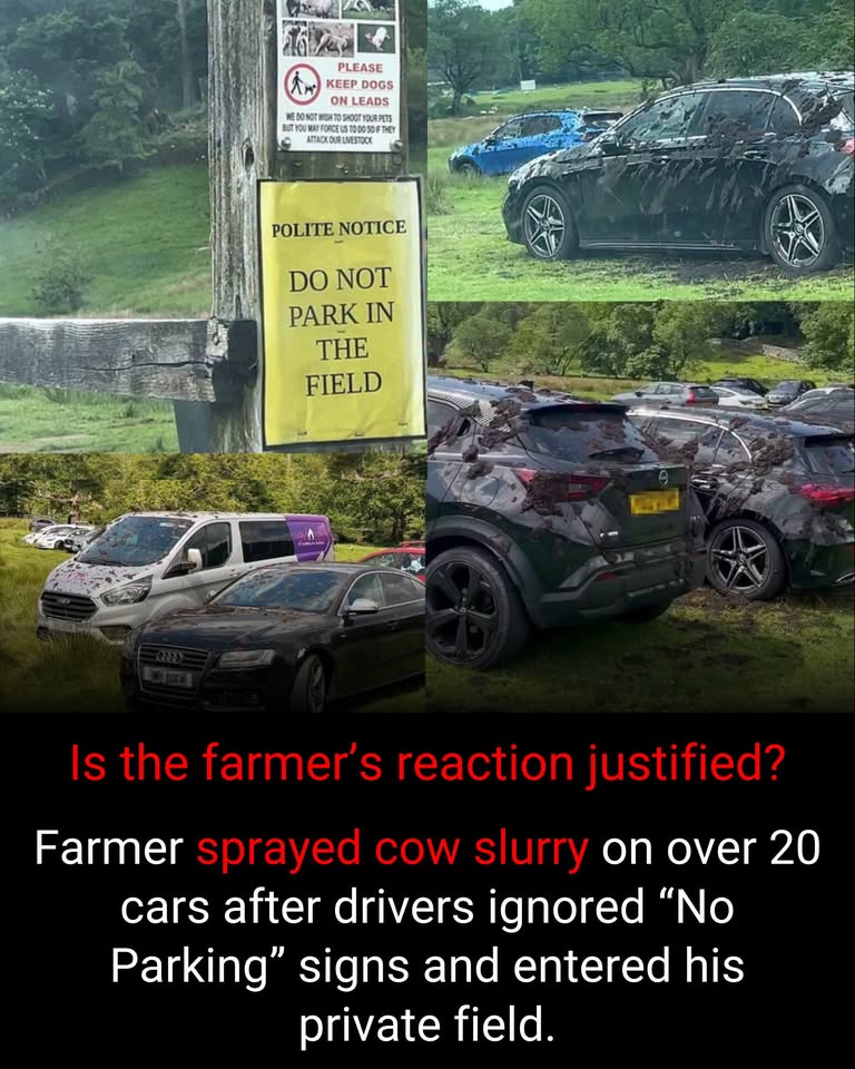 1782268310888.jpeg
