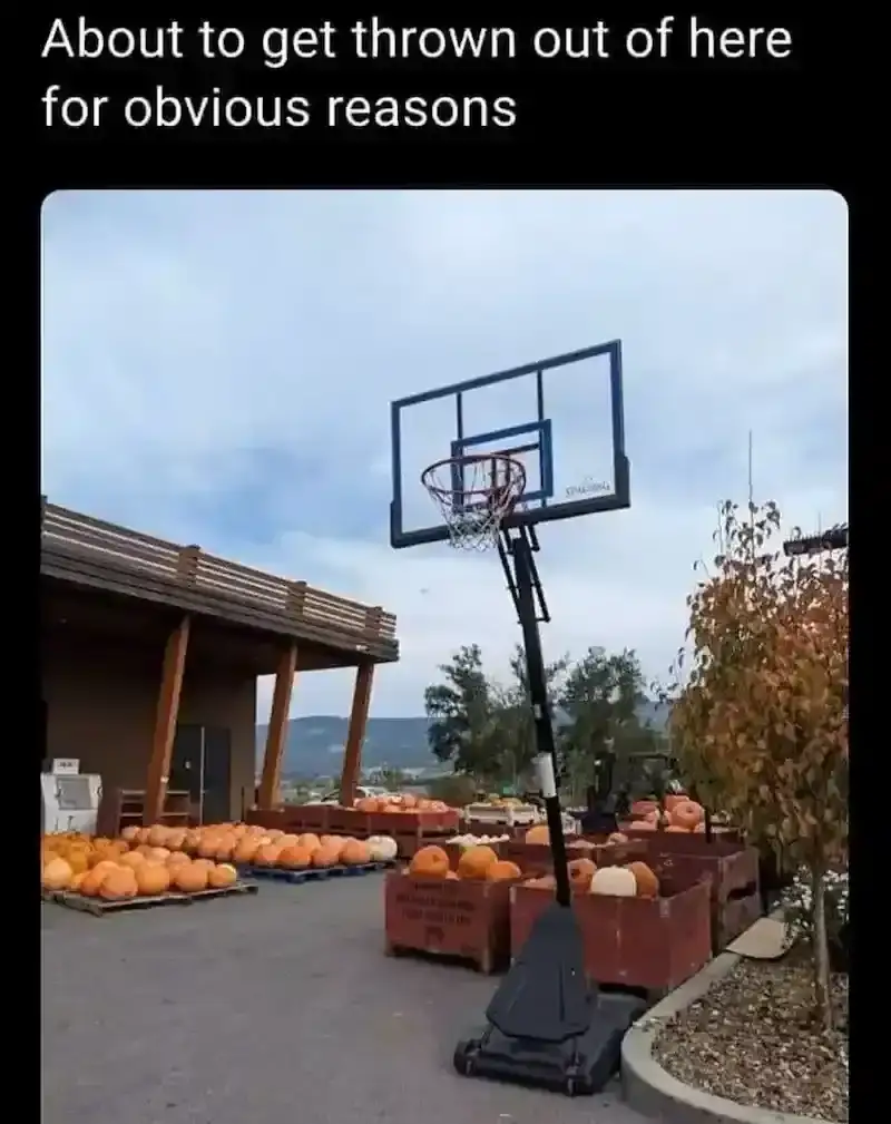 1792267984249.png