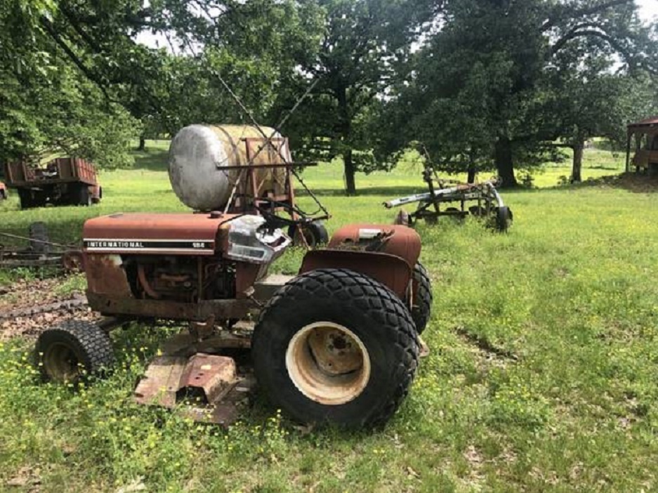 184 in field.jpg