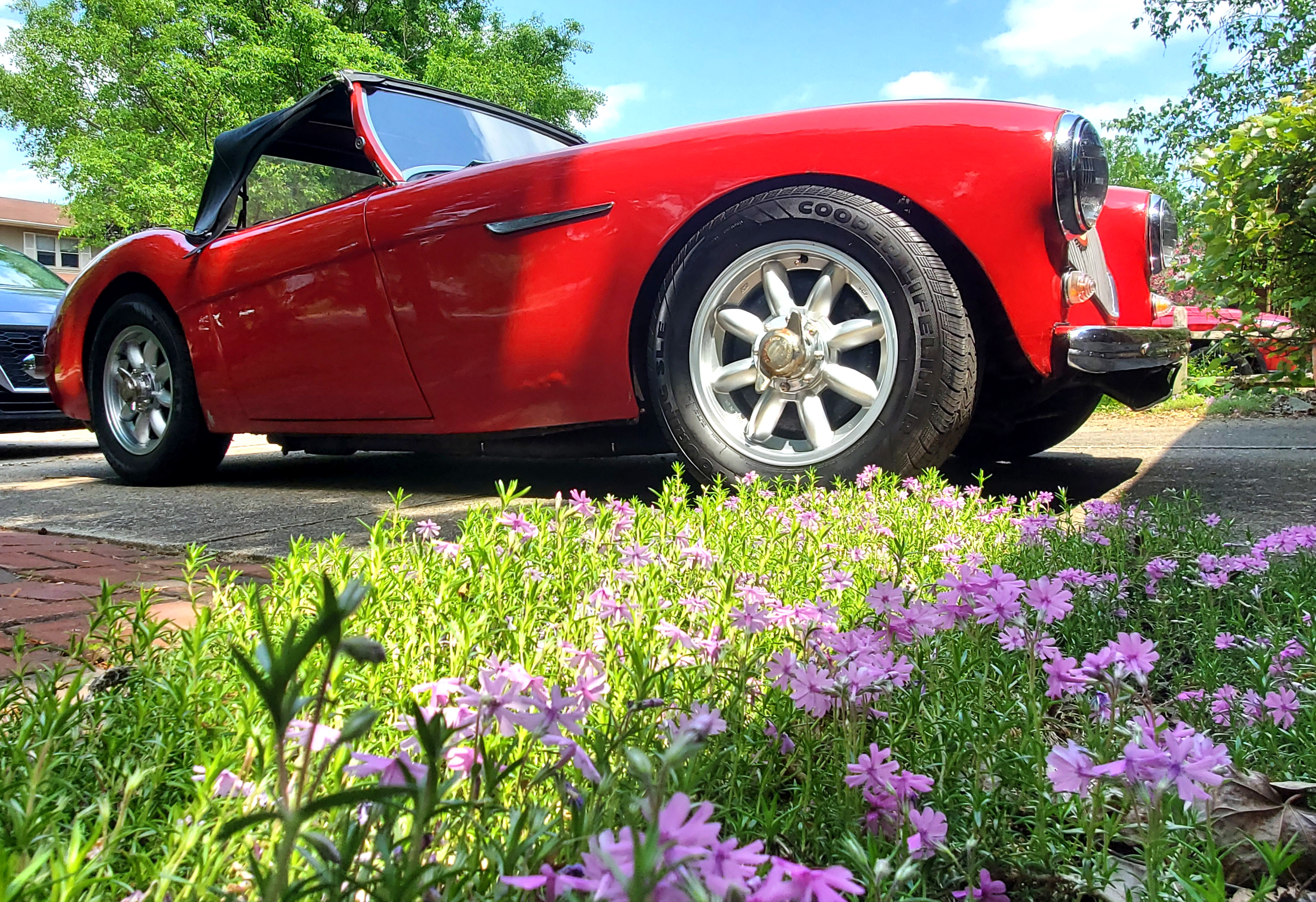 1956 Austin Healey 100 BN2.jpg