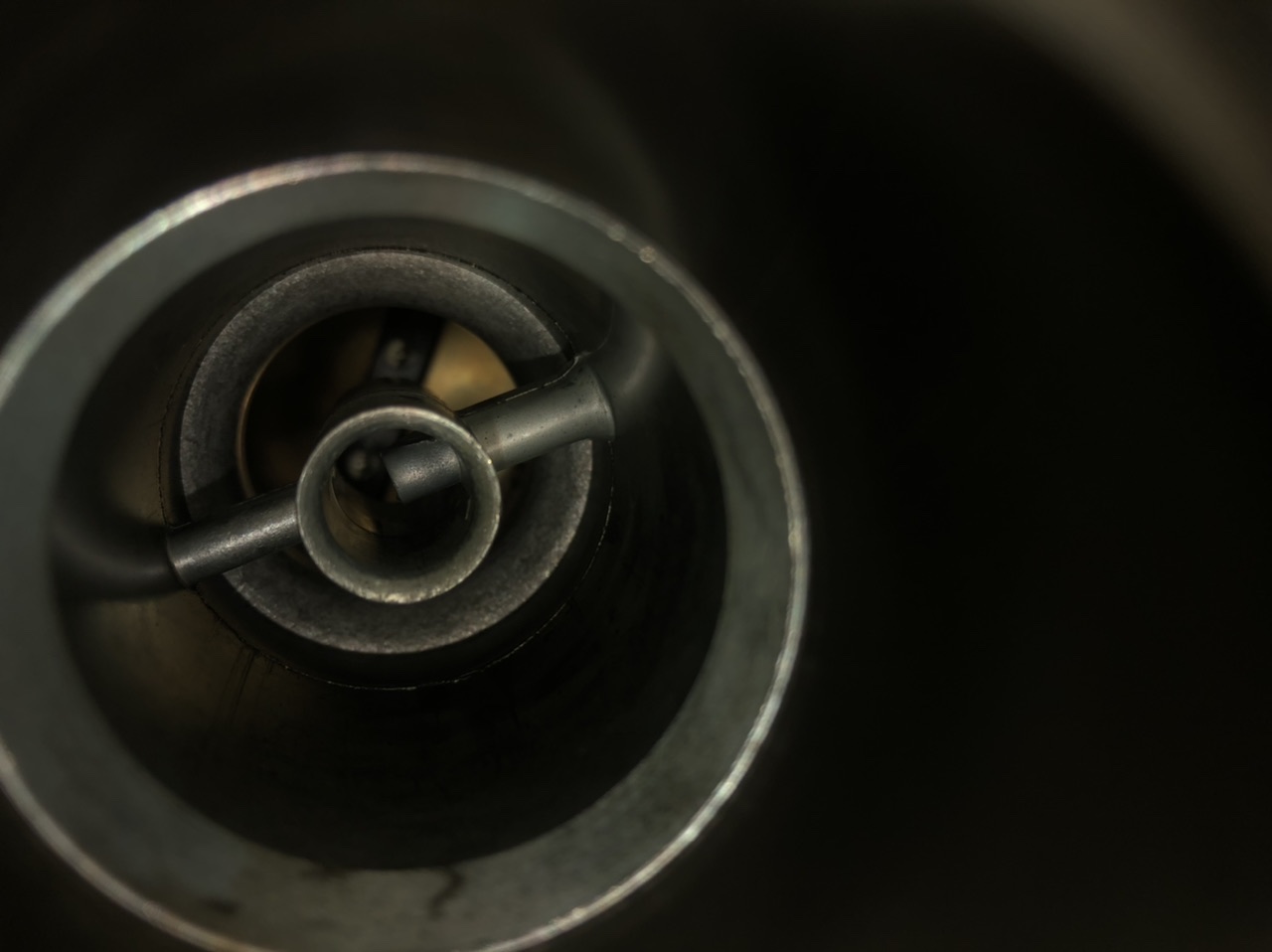 1A971533-1B2D-48C6-95BC-1542BC3A2141.jpeg