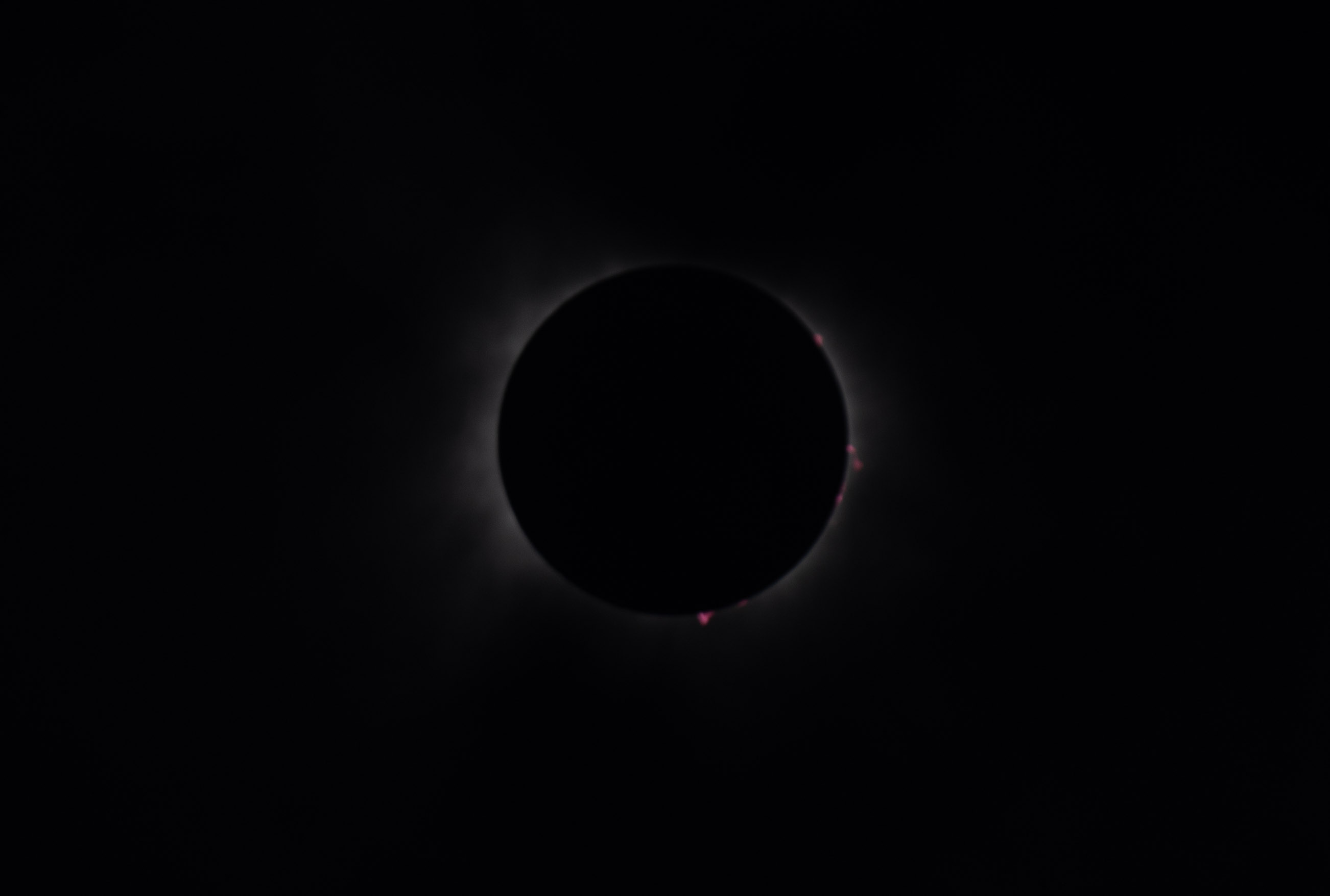 2-_WWK6605.jpg
