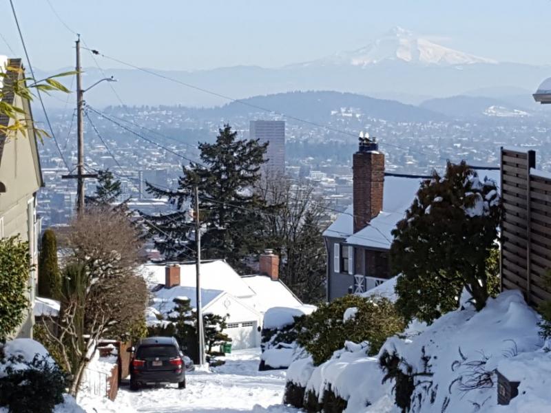 2017-01-16 12.44.25.jpg