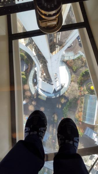 2018-11-27 10.35.32.jpg