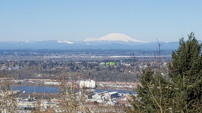 2019-03-03 15.23.20 smaller.jpg