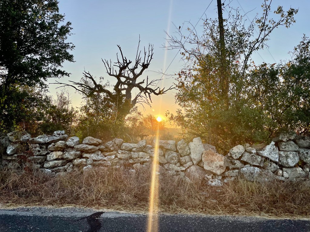 2023-09-17 07-39-38.jpeg