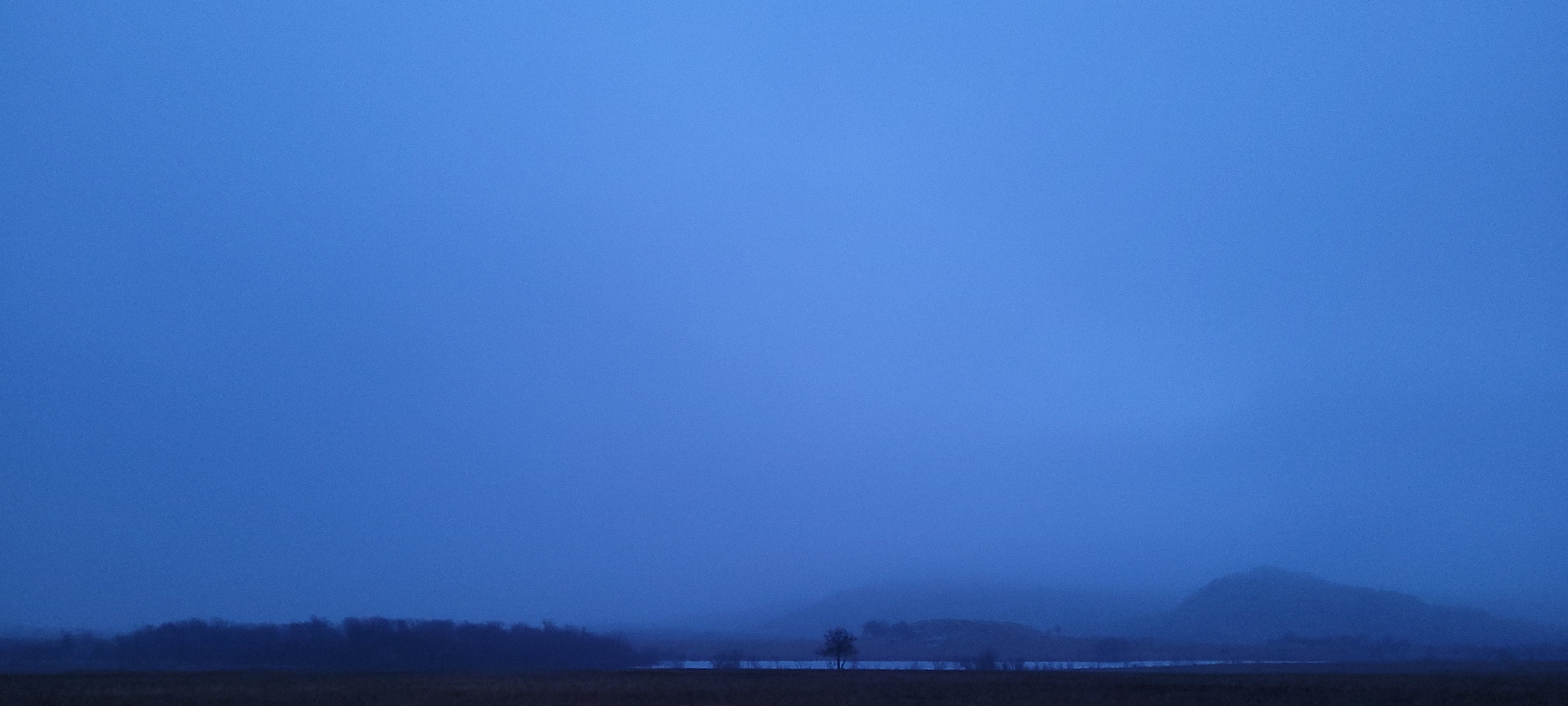 20230309_065046.jpg