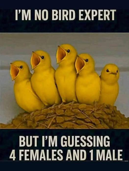 4 females and a male.jpg