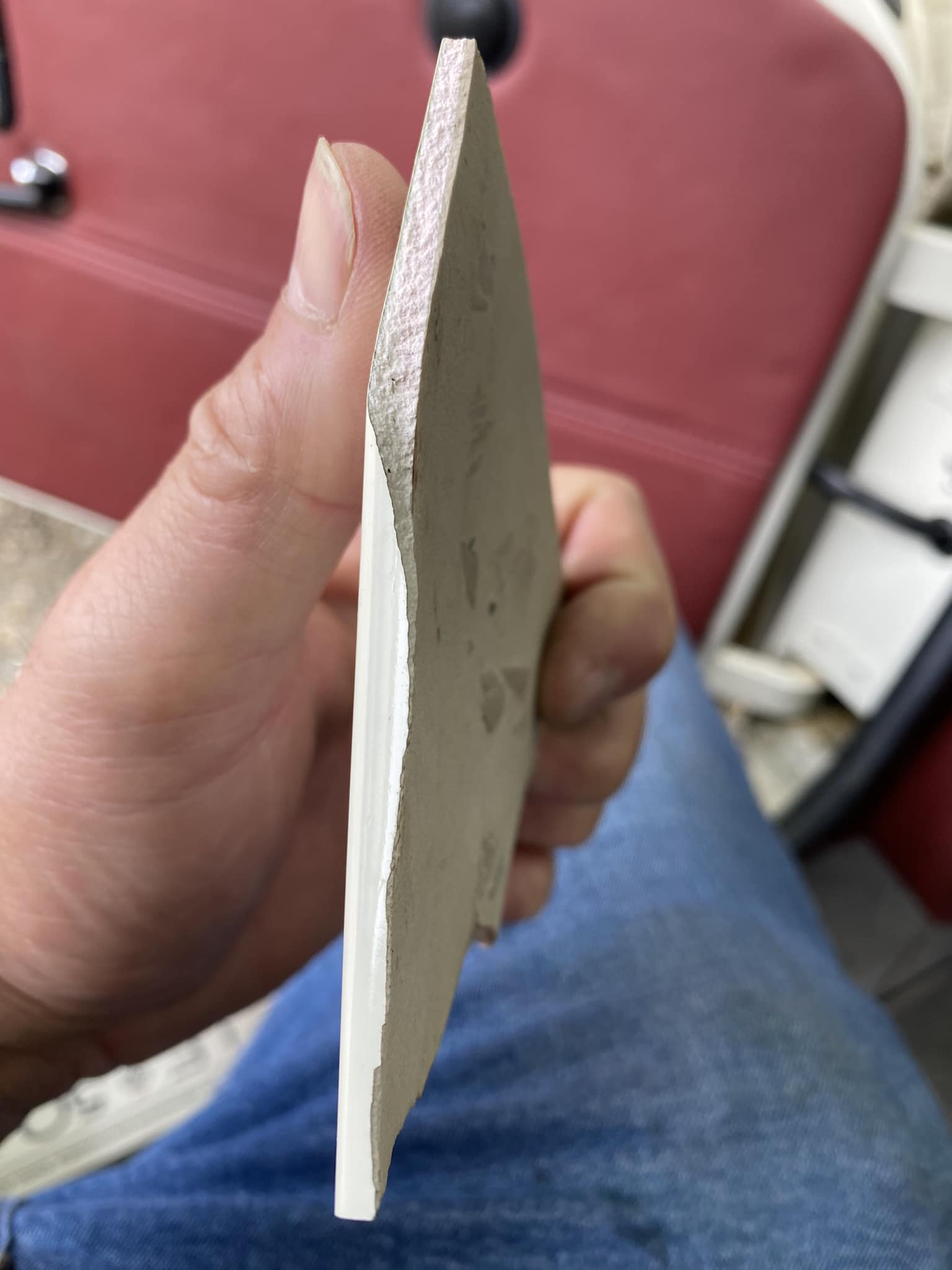 430782991_819772986645680_5315393545016132170_n (1).jpg