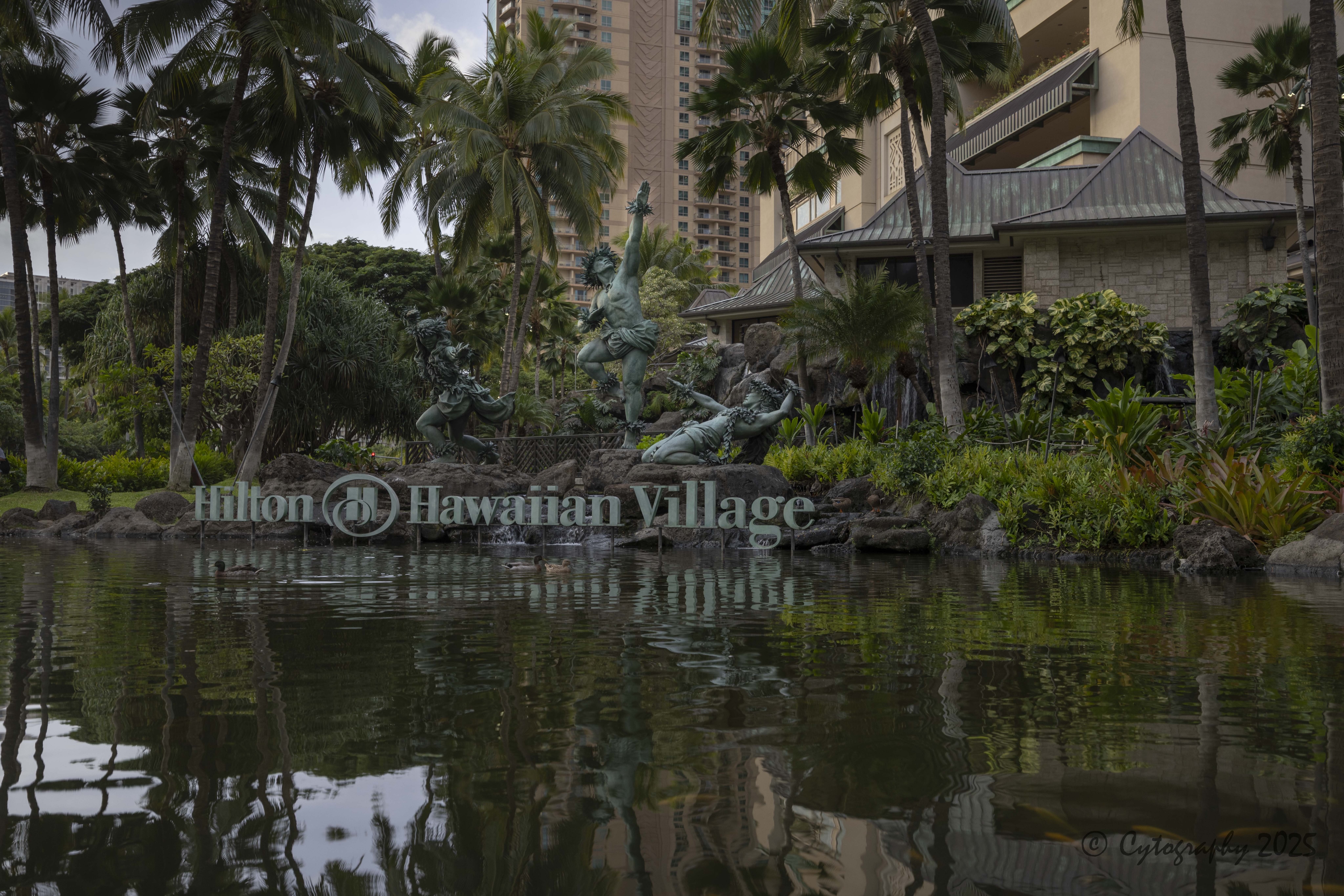 45mm_9.0_blowhole-December 16, 2025-0047.jpg