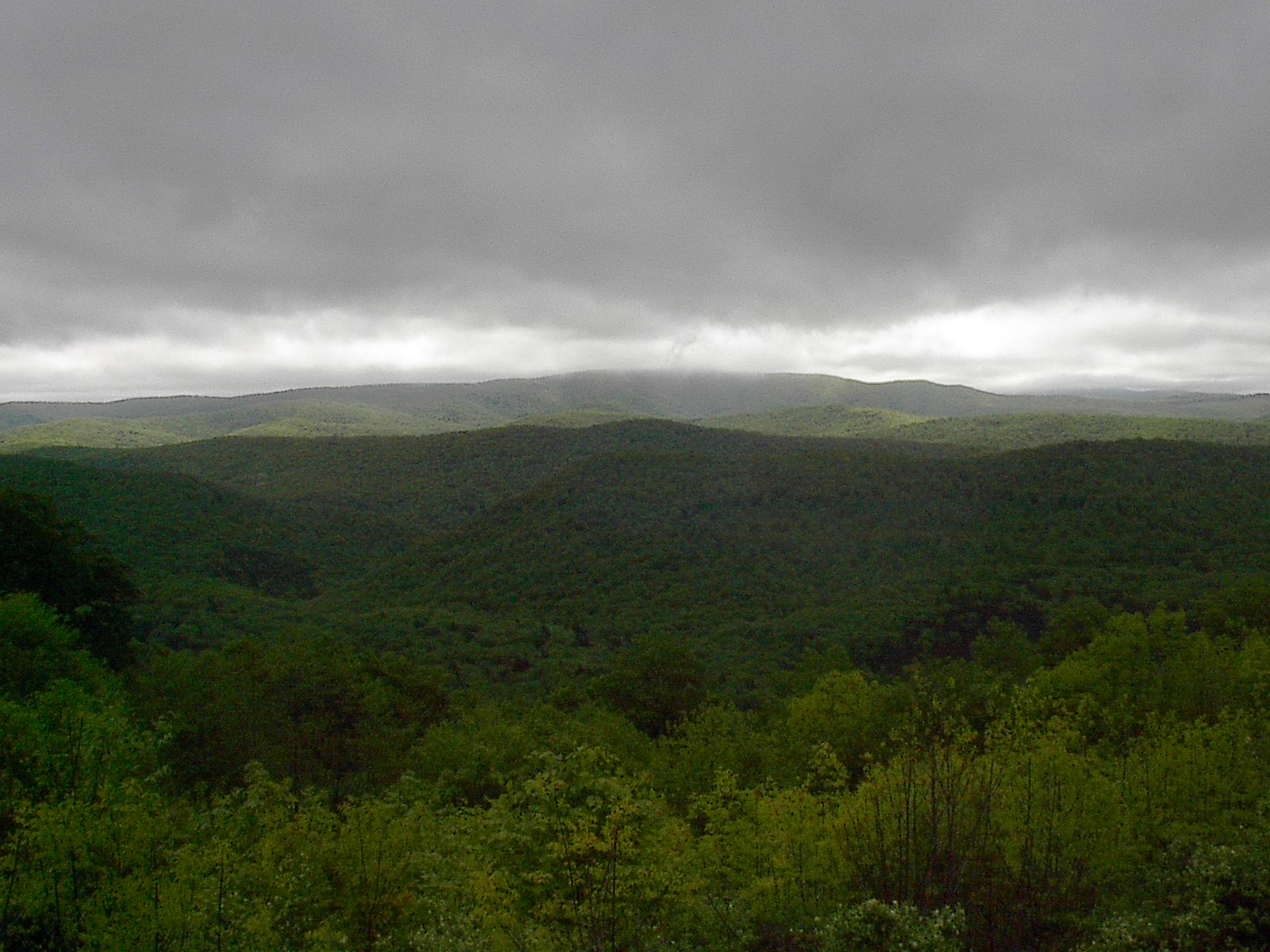 45th Anniversary WV Trip 016.JPG