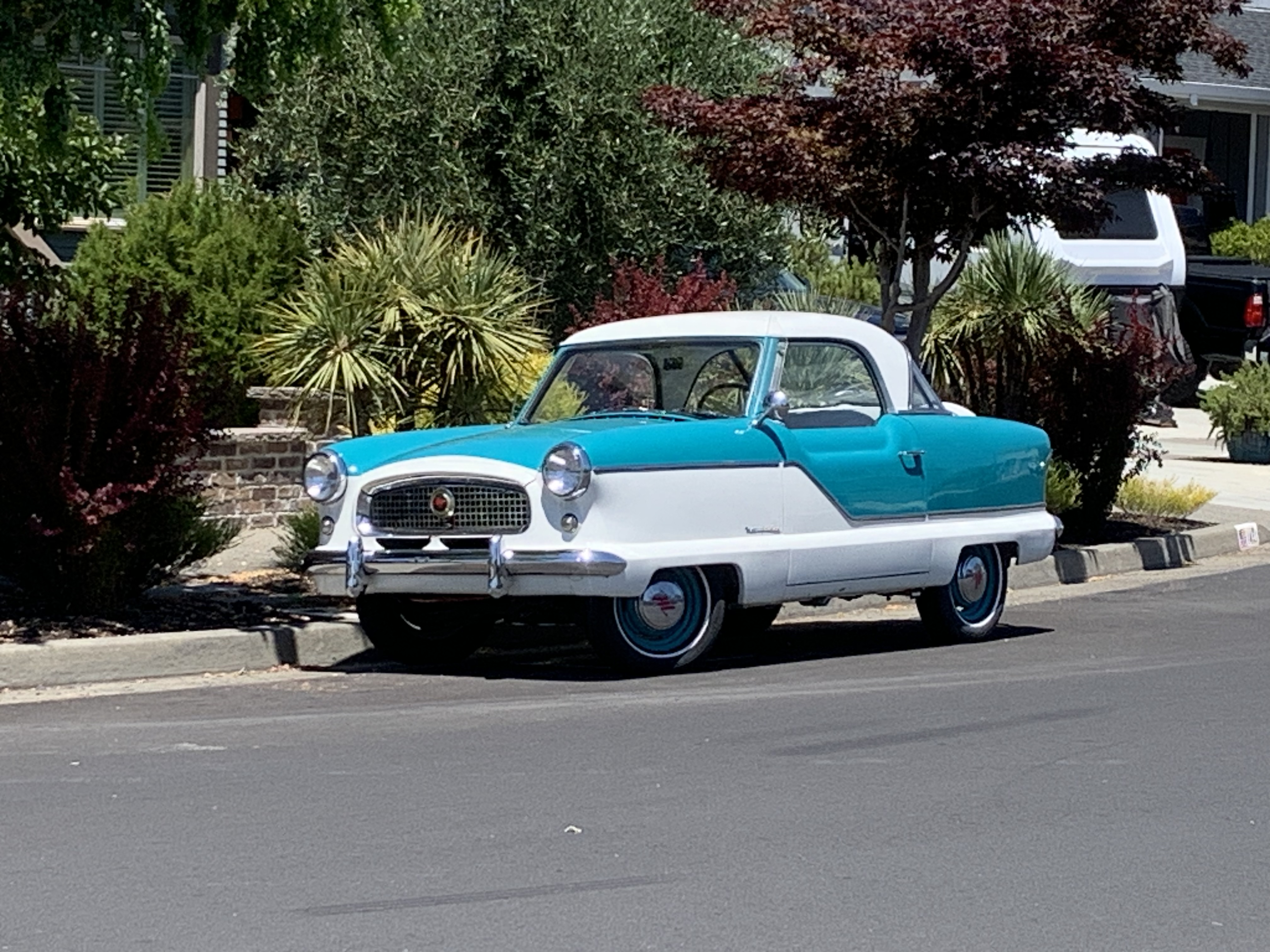 46914953-336E-4CAB-A06E-C382783C788C.jpeg