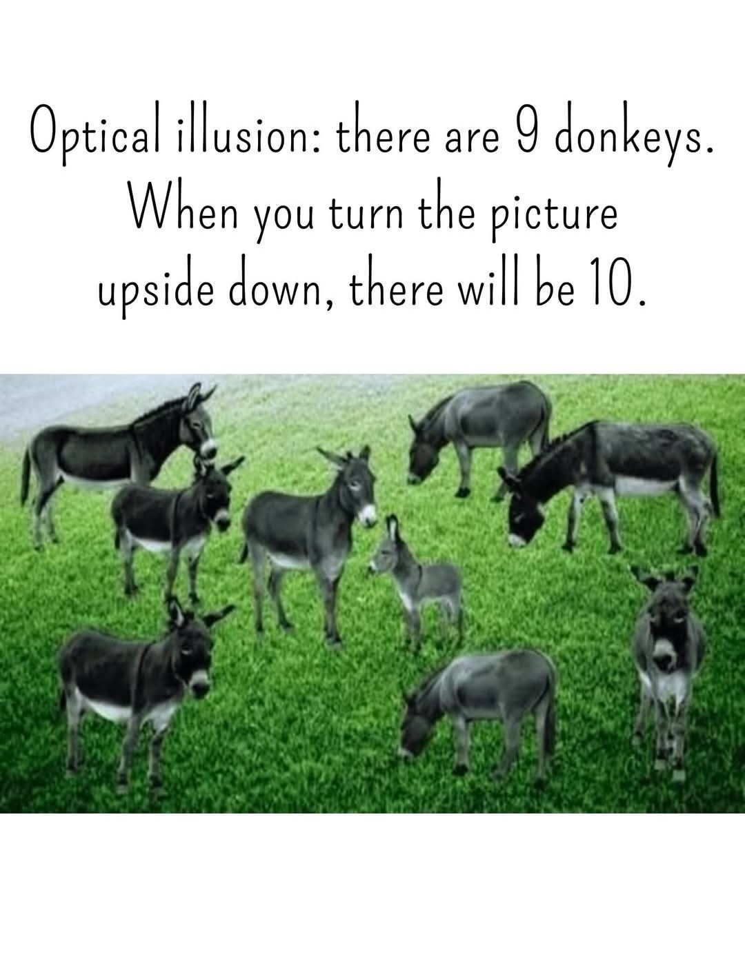 472790562_1171351341227263_520997769928982963_n.jpg