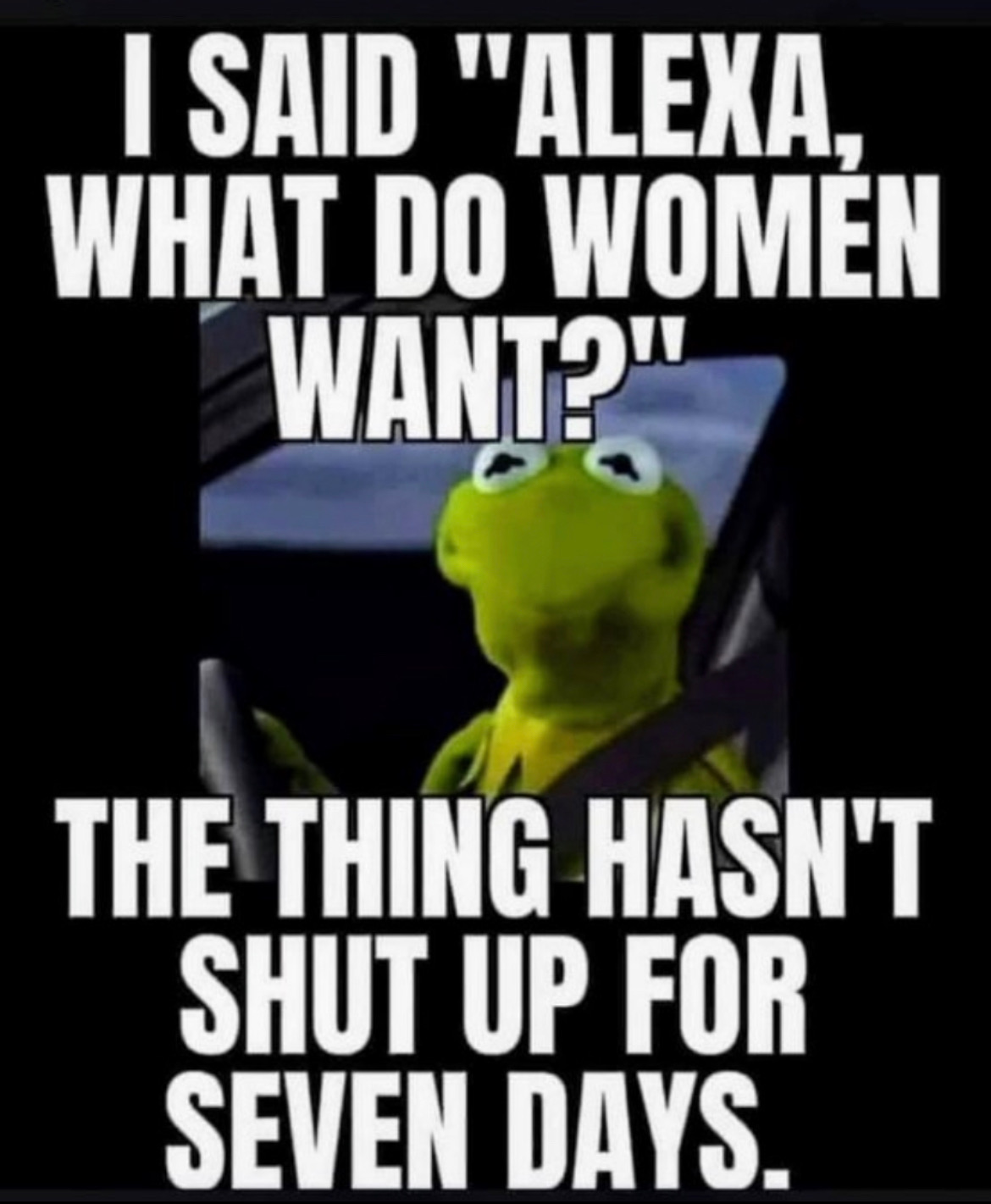 49F81E90-CC6C-493A-8EE4-B2D84D0C8F69.jpeg