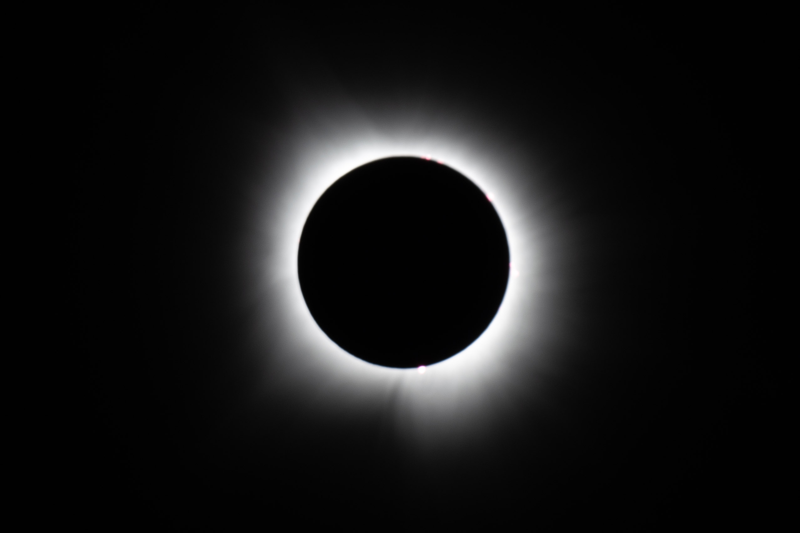 5-_WWK6596.jpg