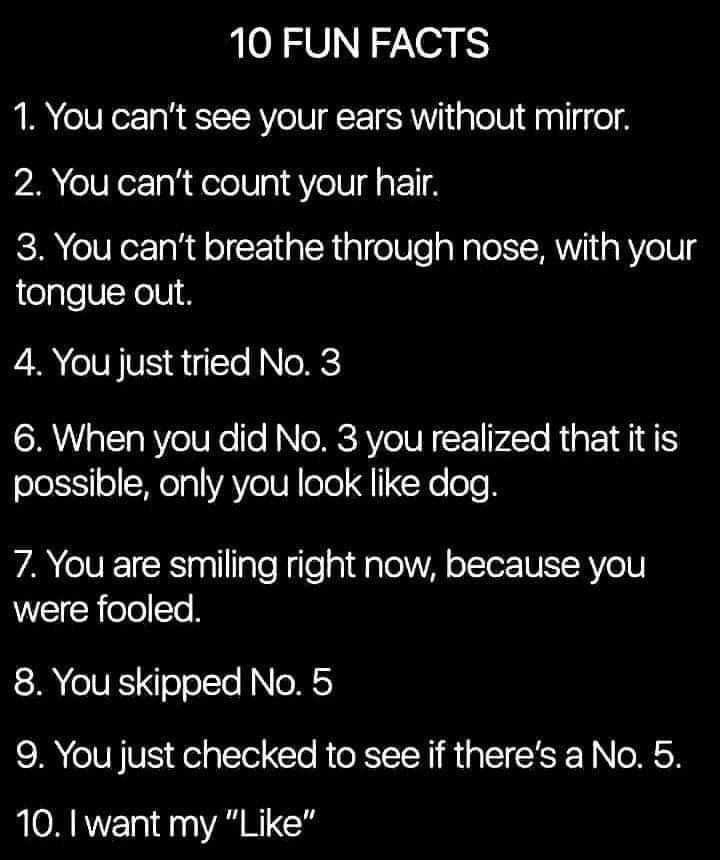 729DDE7F-9761-41A7-A2E6-C07BBFDCDE90.jpeg