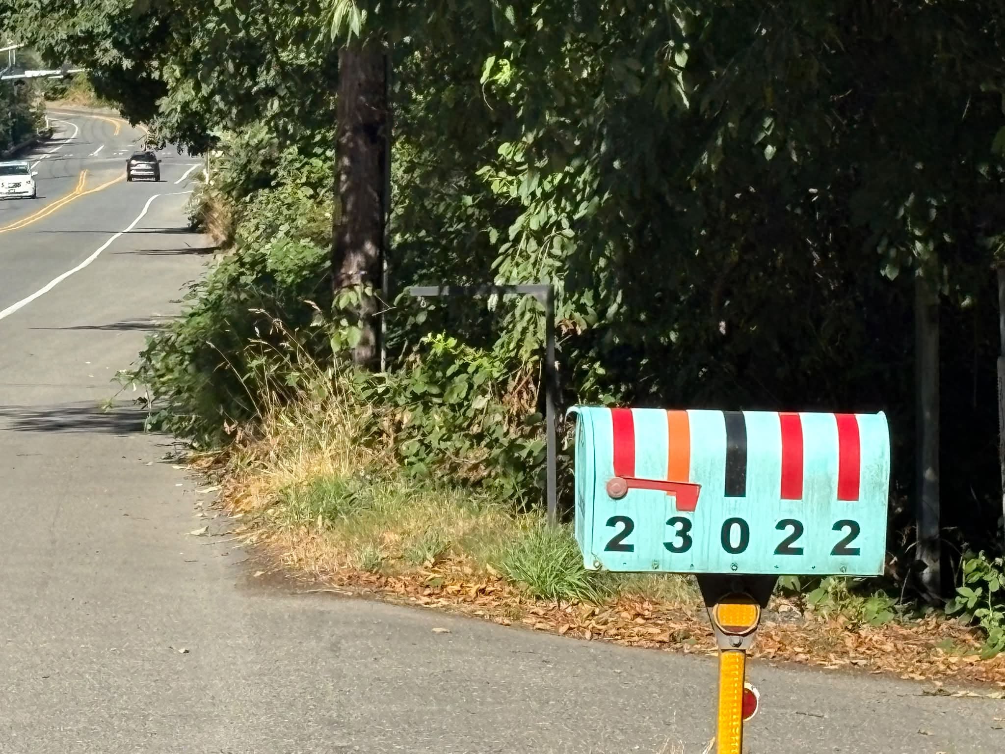 799487168_29019799867606468_6991616506922541016_n.jpg