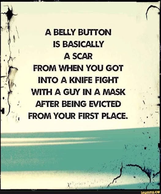 A belly button.jpg