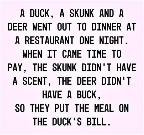 A duck a skunk and a deer.jpg
