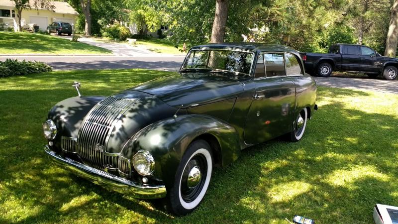 Allard in the yard.jpg