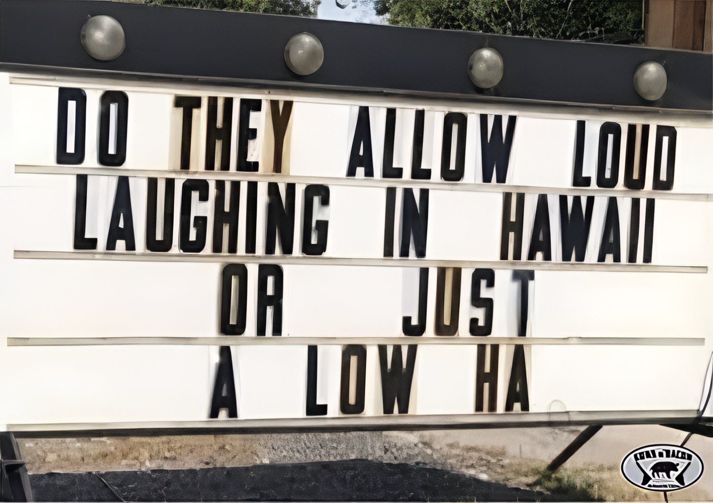 aloha.jpg