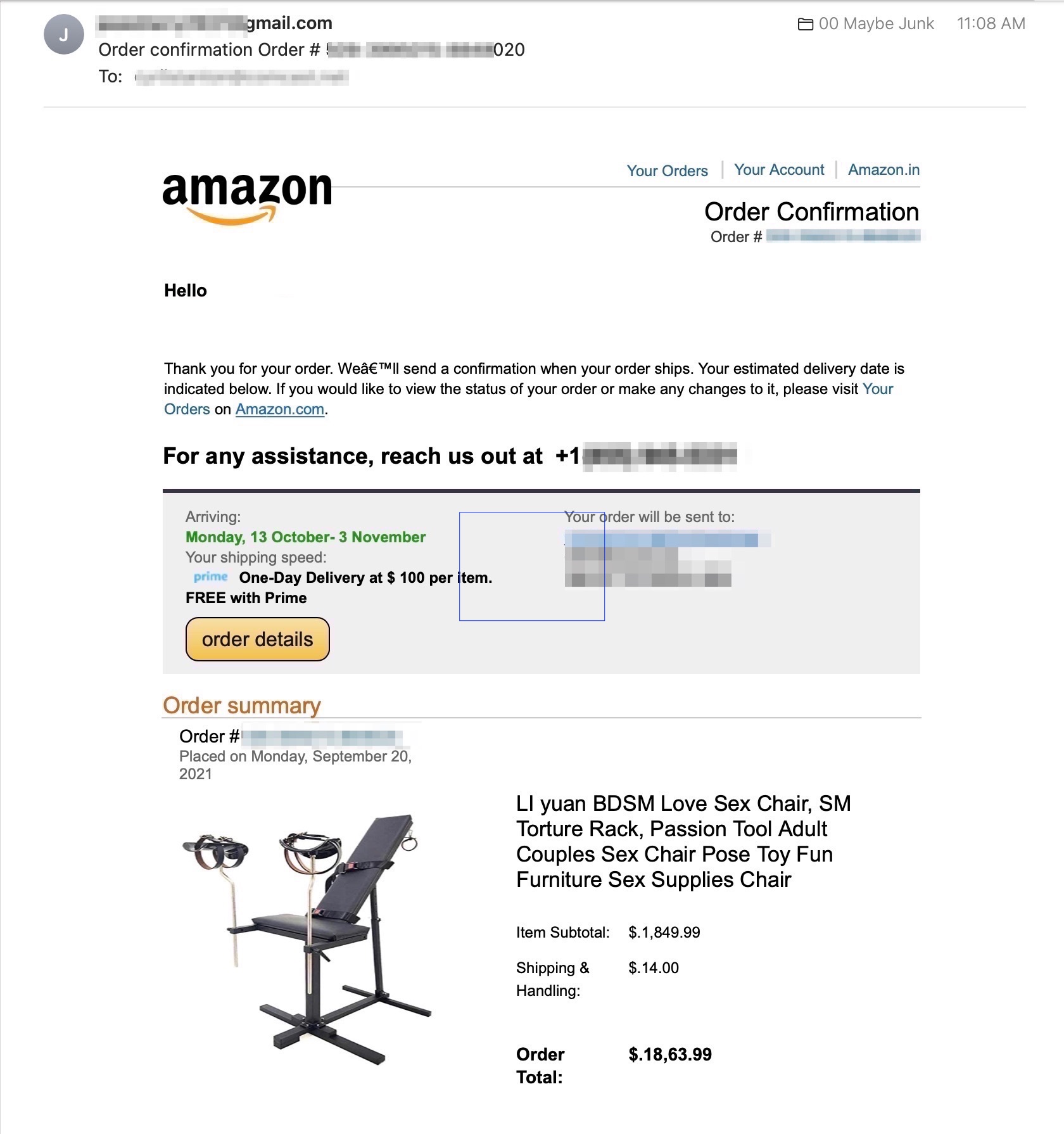 Amazon_phony_order.jpg