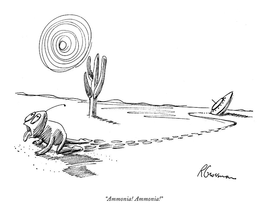 ammonia-ammonia.jpg
