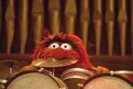 animal eats cymbal.jpg