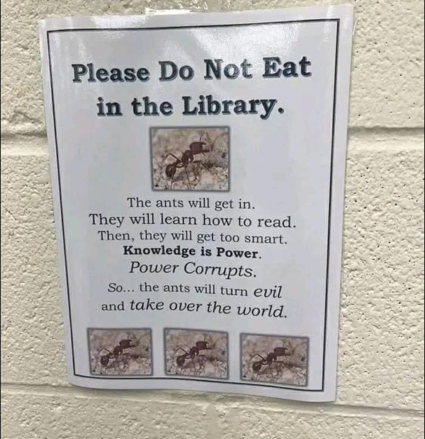 ants in library.jpg