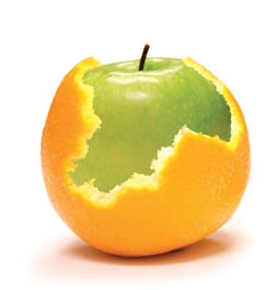 apple-orange-shell.jpg