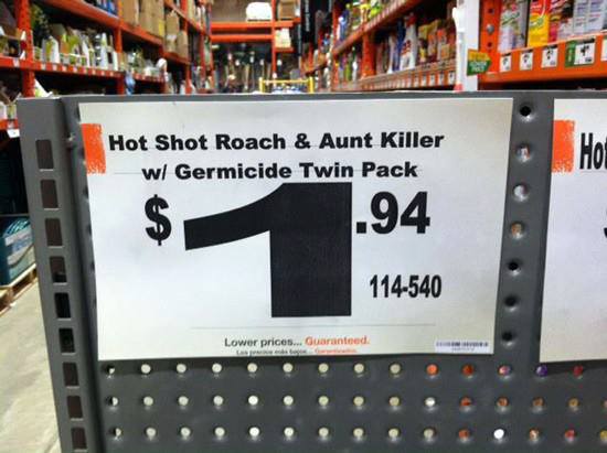 Aunt Killer.jpg