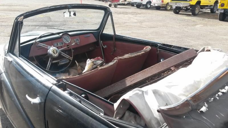 Austin1 (1024x576).jpg