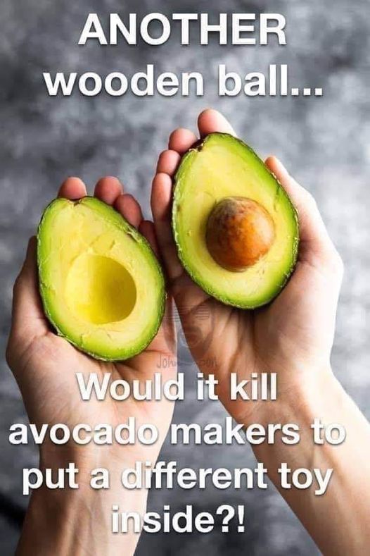Avocado toy.jpg