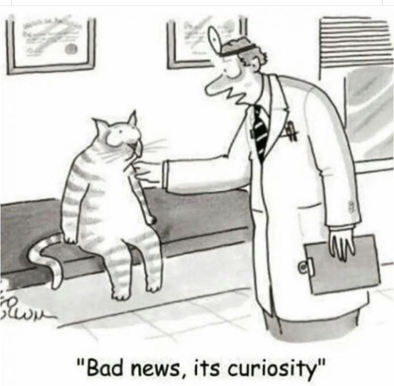 badnews.jpg