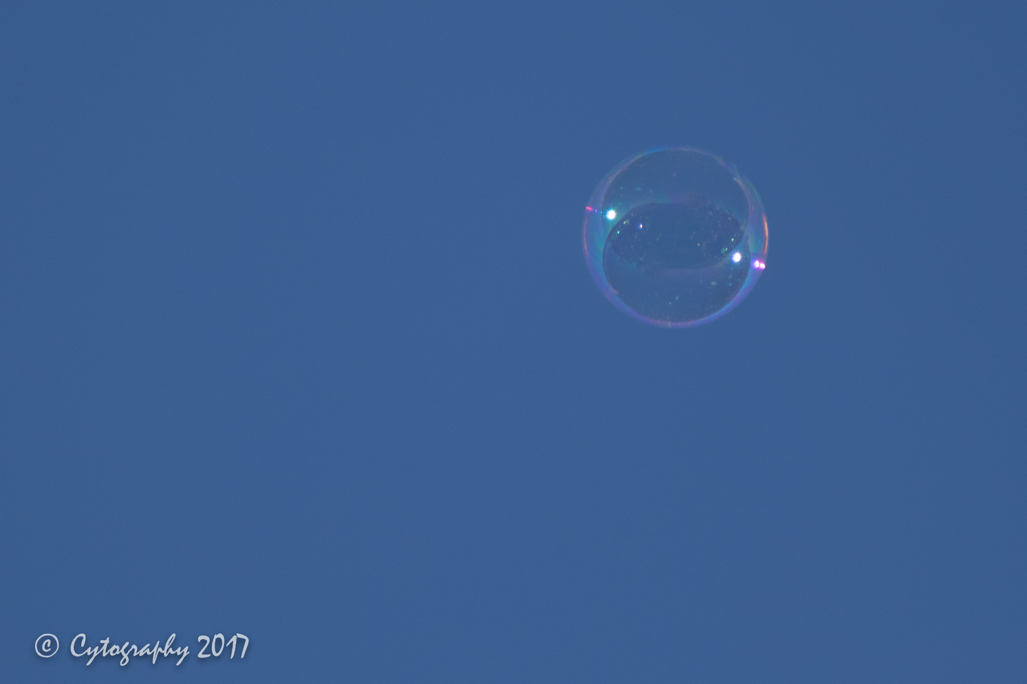 Balloon Fiesta 2017-7.jpg
