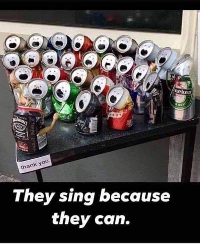 Because they can.jpg