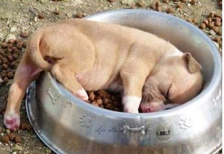 bed and breakfast.jpg