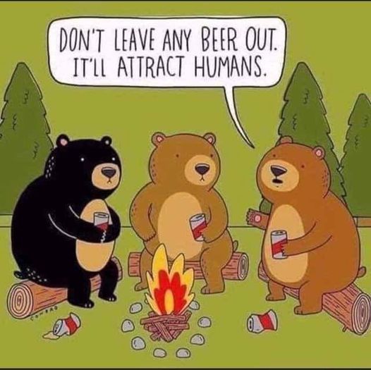 beer.jpg